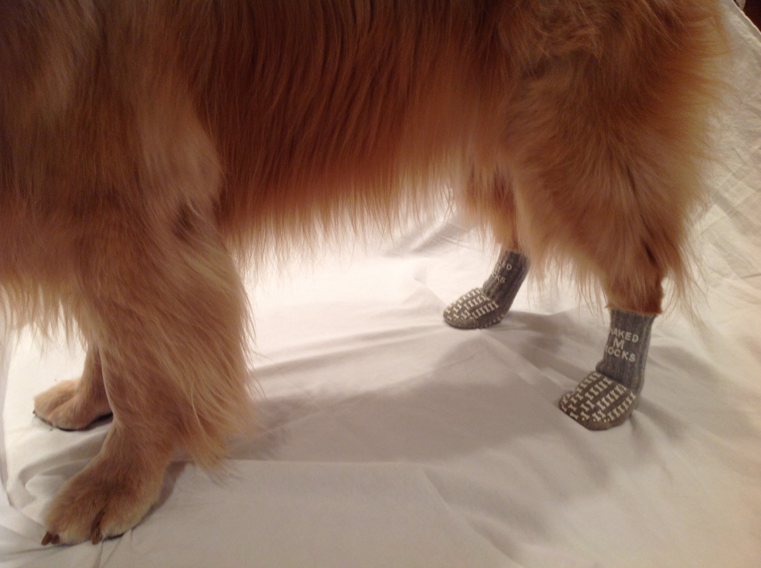 anti slip dog socks